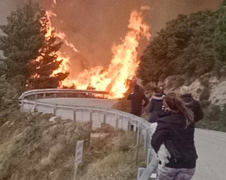 Λευκάδα: Φωτιά σε δάσος στον Άγιο Νικήτα – Σηκώθηκε ελικόπτερο