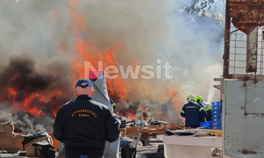 Πυροσβέστες επιχειρούν σε μεγάλη φωτιά