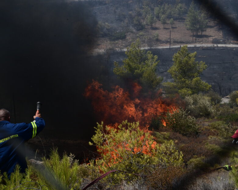 Φωτιά στα Χανιά σε δάσος στον Αποκόρωνα: Μήνυμα του 112 στους κατοίκους, «παραμείνετε σε ετοιμότητα»