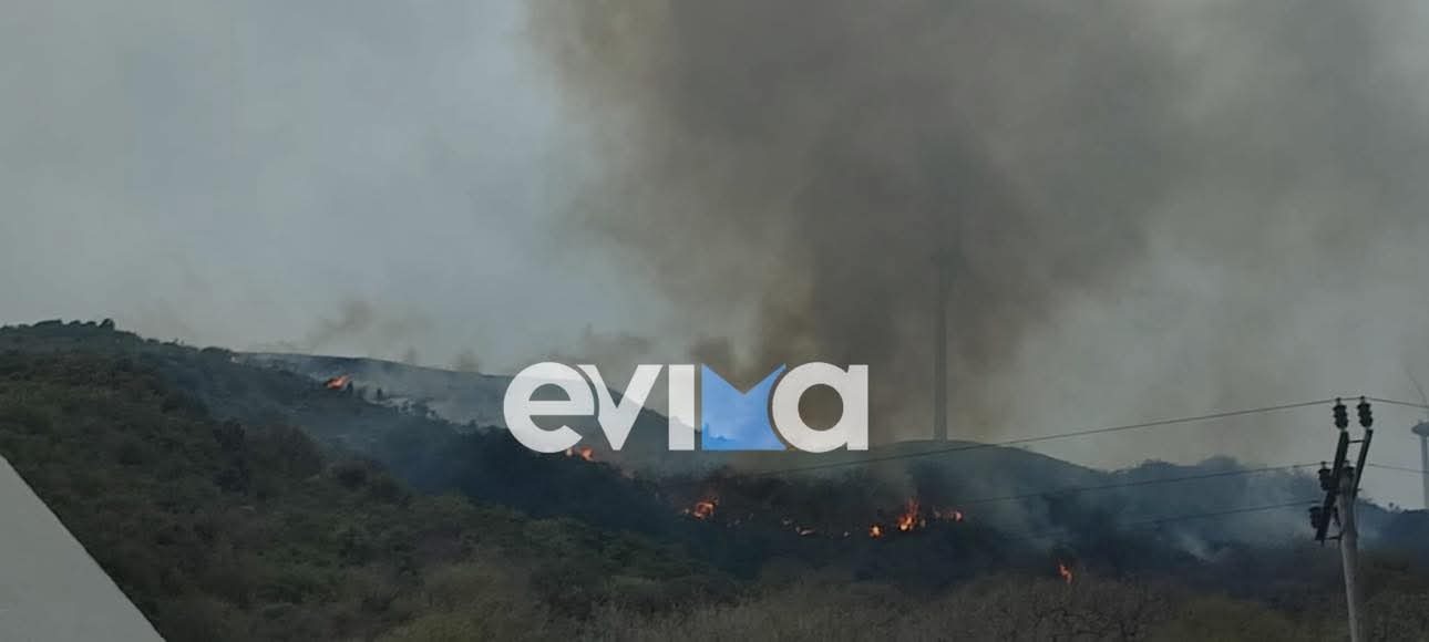 Φωτιά στην Κάρυστο