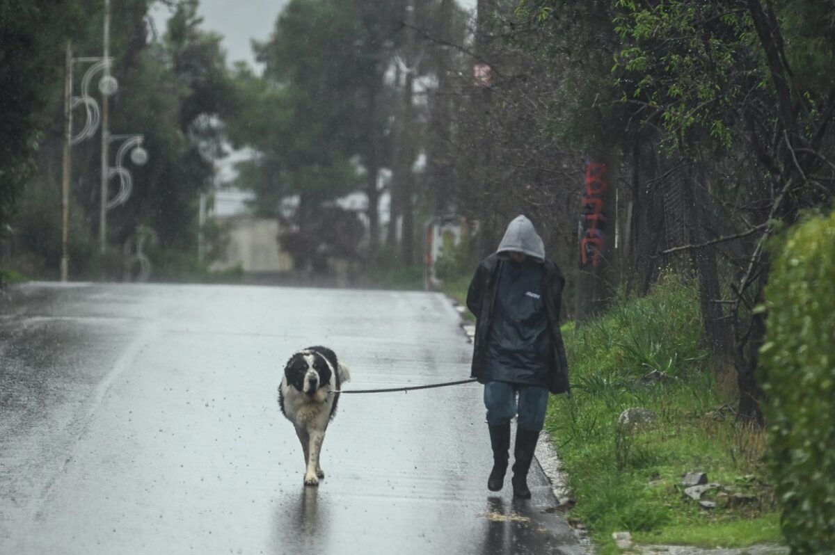 Βροχή