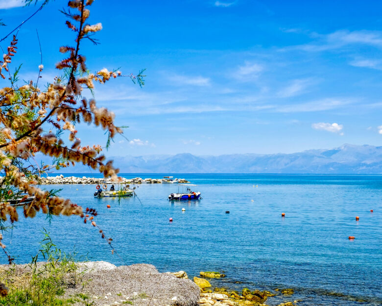 Καιρός – Μαρουσάκης: Θερμοκρασίες πάνω από 30 βαθμούς Κελσίου μέχρι την Κυριακή – «Χειμωνιάτικη φωτοβολίδα» από τη Δευτέρα