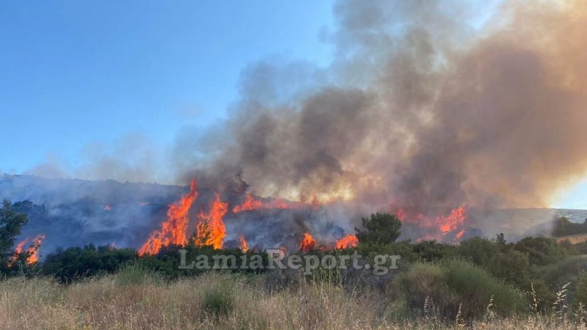 Η πυρκαγιά ξέσπασε στον οικισμό της Καρυάς Καμένων Βούρλων