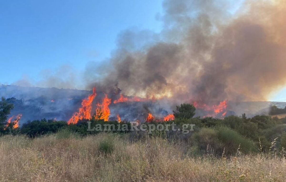 Η πυρκαγιά ξέσπασε στον οικισμό της Καρυάς Καμένων Βούρλων