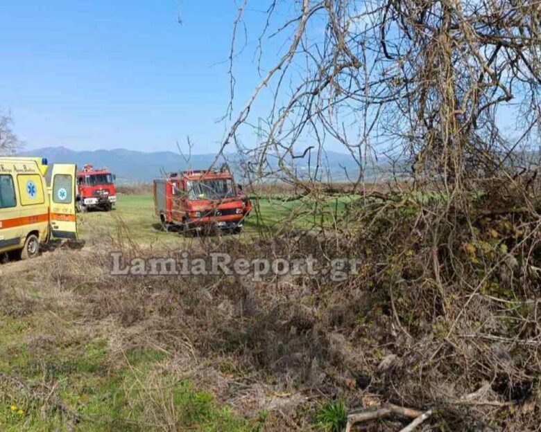 Φθιώτιδα: Νεκρός 60χρονος εργάτης – Κλαρί από πλάτανο τον χτύπησε στο κεφάλι την ώρα που προσπαθούσε να το απομακρύνει